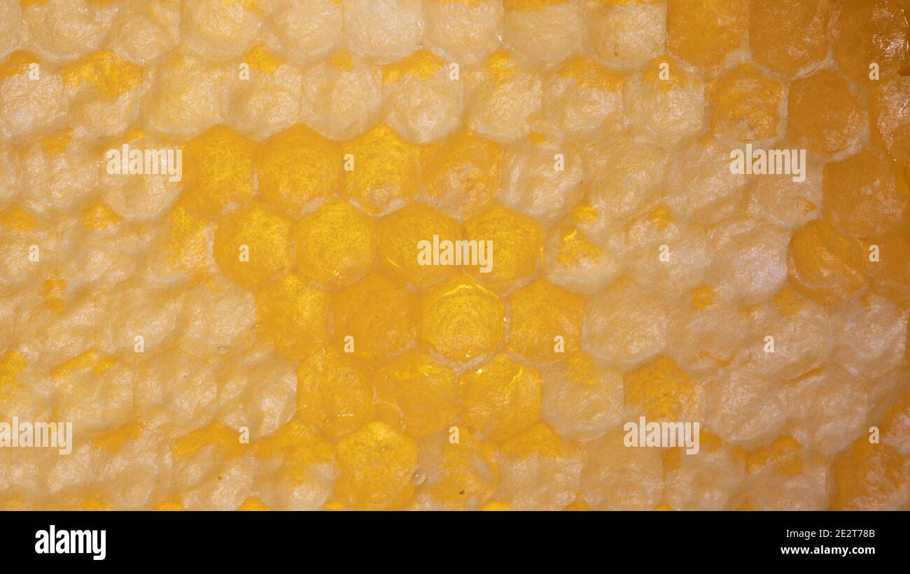 Hive Texture Background texture of wax honeycomb from abee hive filled with golden ...