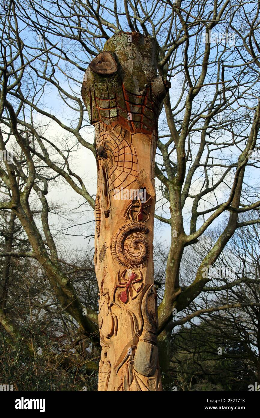 Tree carving of various insects in a tree trunk Stock Photo