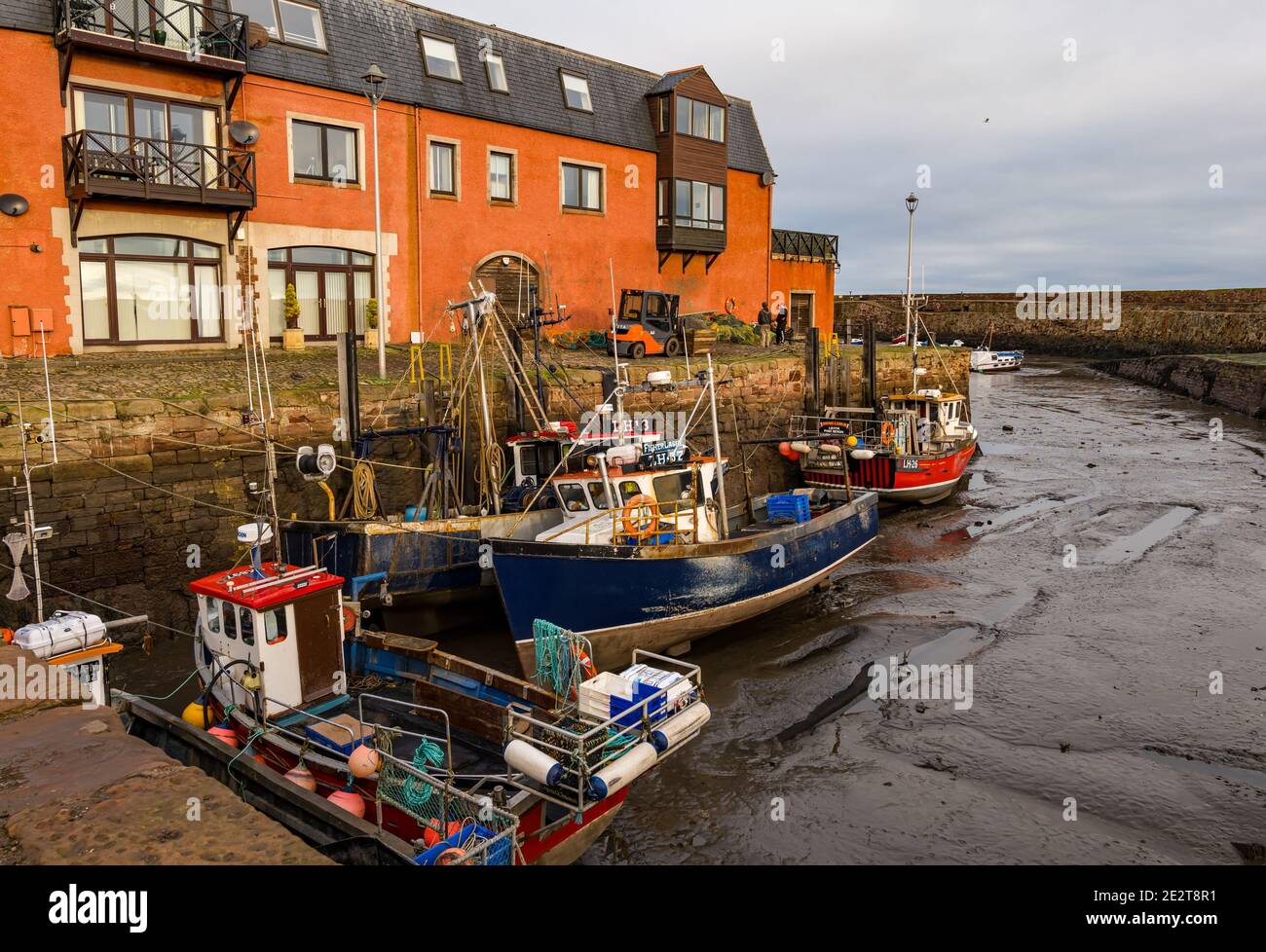 Dunbar Harbour, East Lothian, Scotland, United Kingdom, 15th January 2021. Fishing industry: a couple of fishing boats in the smaller harbour aground at low tide in the smaller of the two harbours in the town, Cromwell harbour Stock Photo