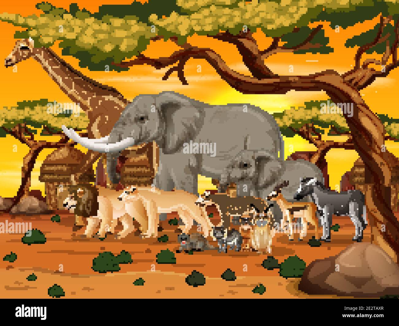 jungles in africa animals