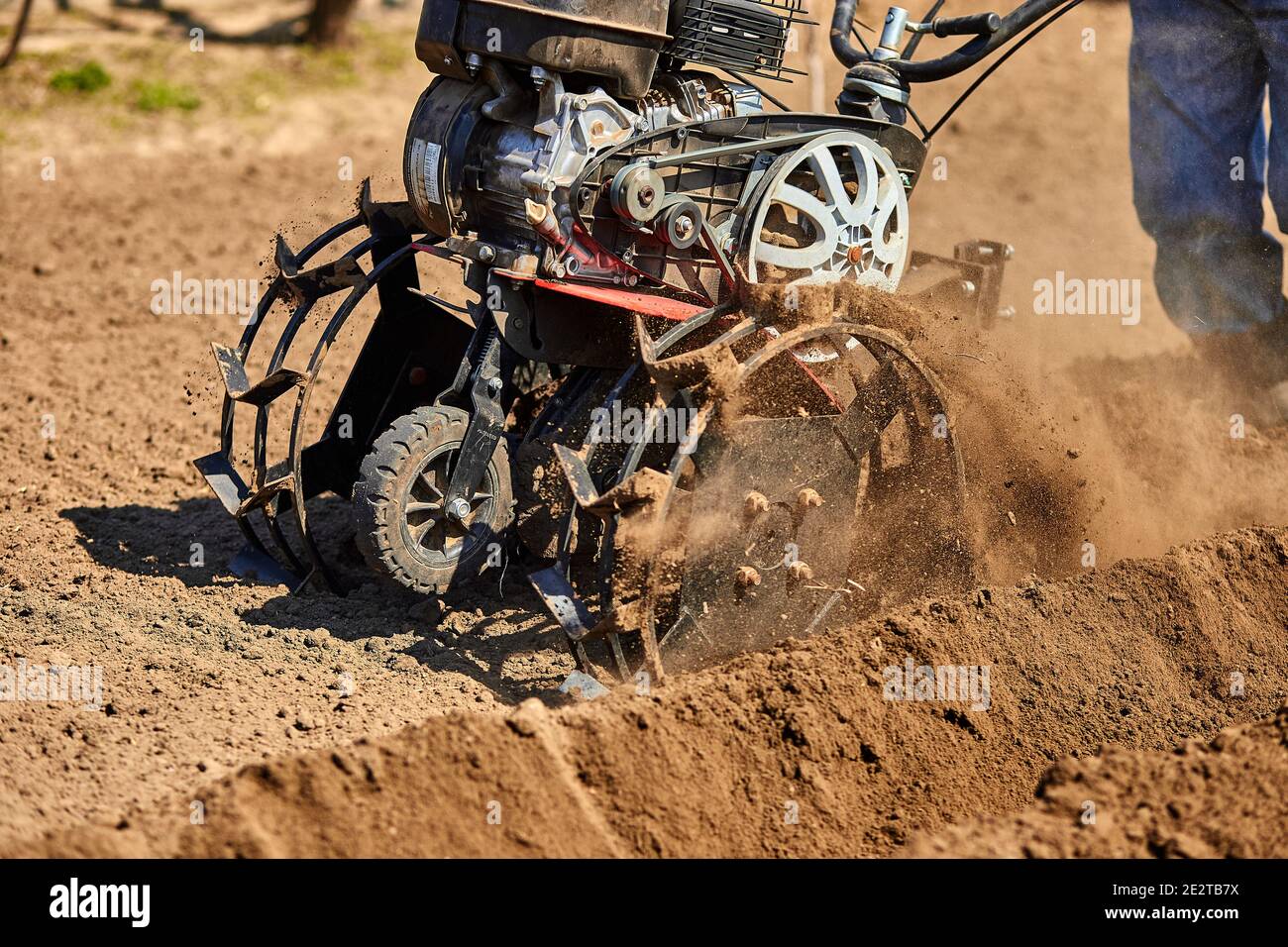 Gardener man cultivate ground soil with tiller tractor or rototiller ...