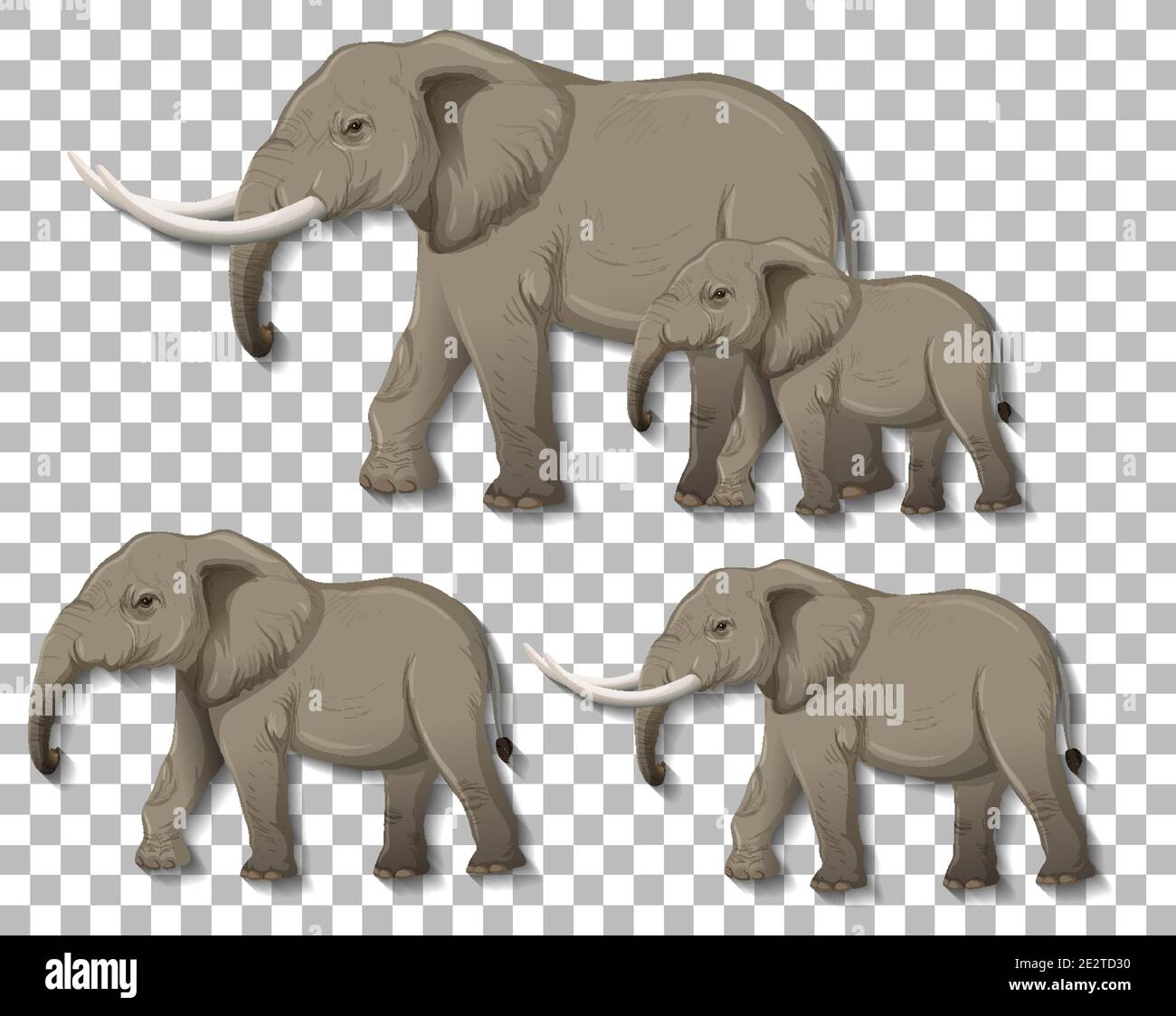 Set of isolated elephants on transparent background illustration Stock  Vector Image & Art - Alamy
