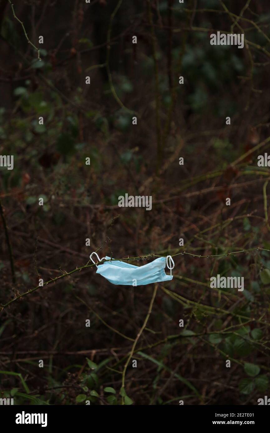 Discarded face mask in uk countryside. Stock Photo