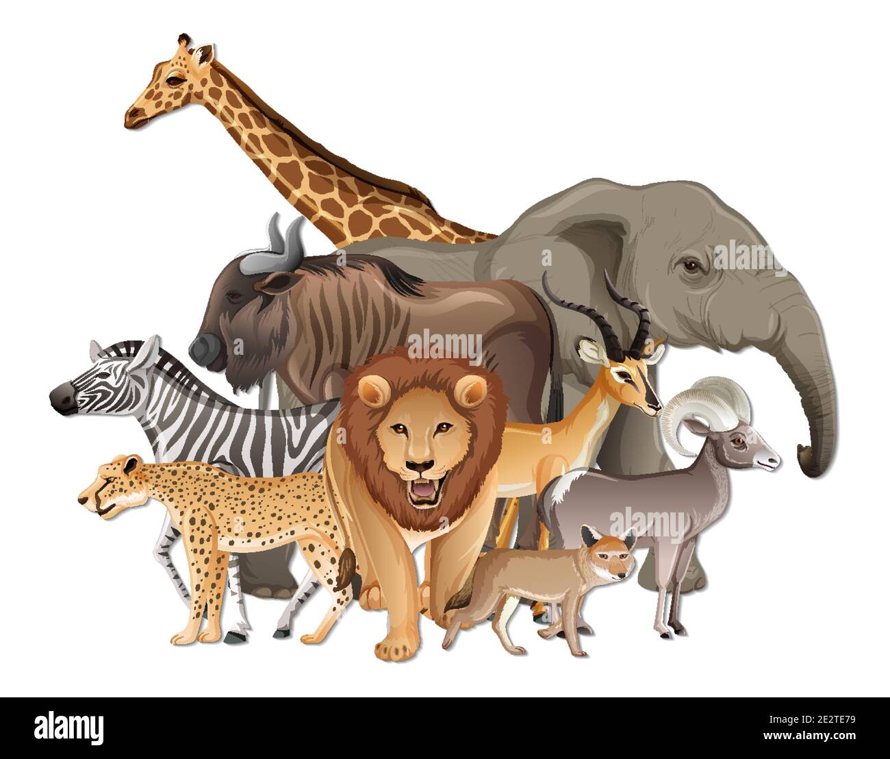 Group of wild African animals on white background illustration Stock ...