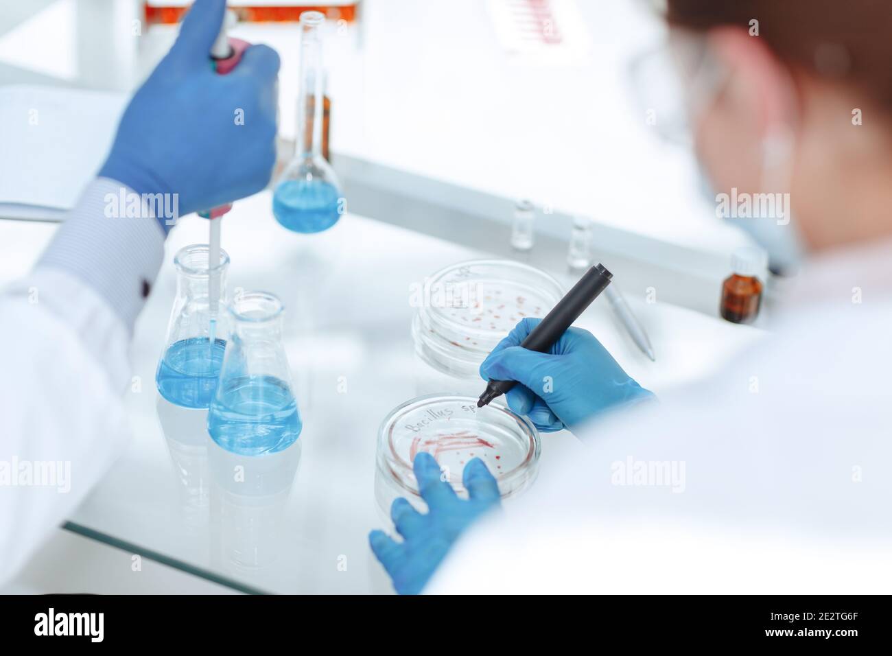 Scientists of the laboratory testing of microbial contamination in
