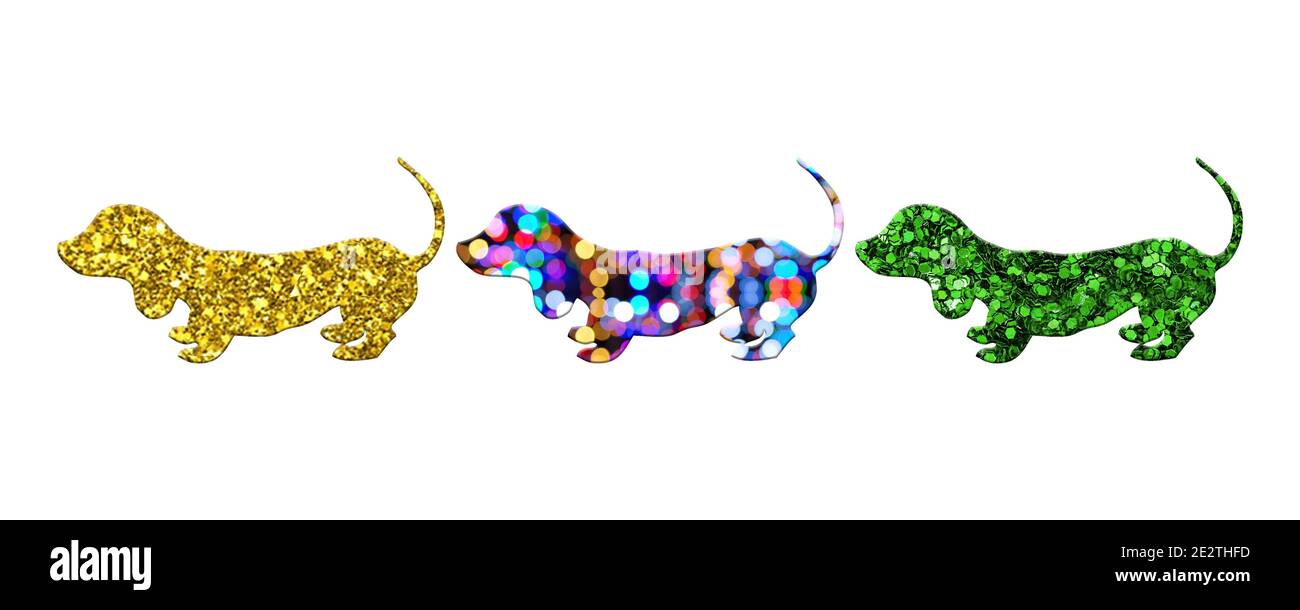 Three dachshund dogs with different patterns isolated on a white ...