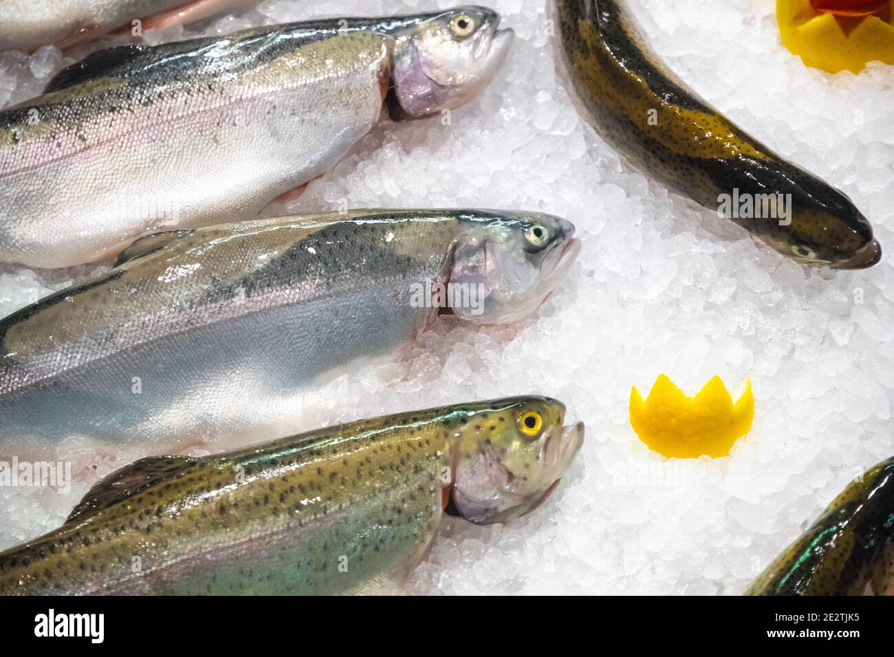 Fresh trouts displayed on ice for sale at Bibury Trout Farm in Cotswolds, England Stock Photo
