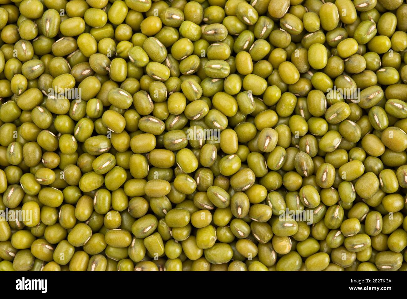 Mung beans field hi-res stock photography and images - Alamy