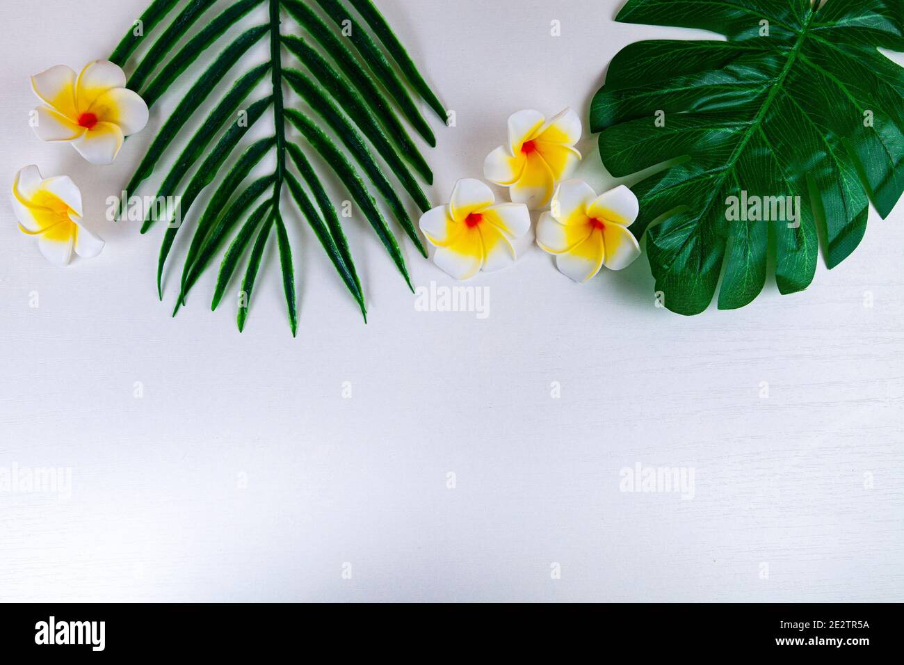 Tropical flowers and leaves on a white wooden background. Vacation in ...