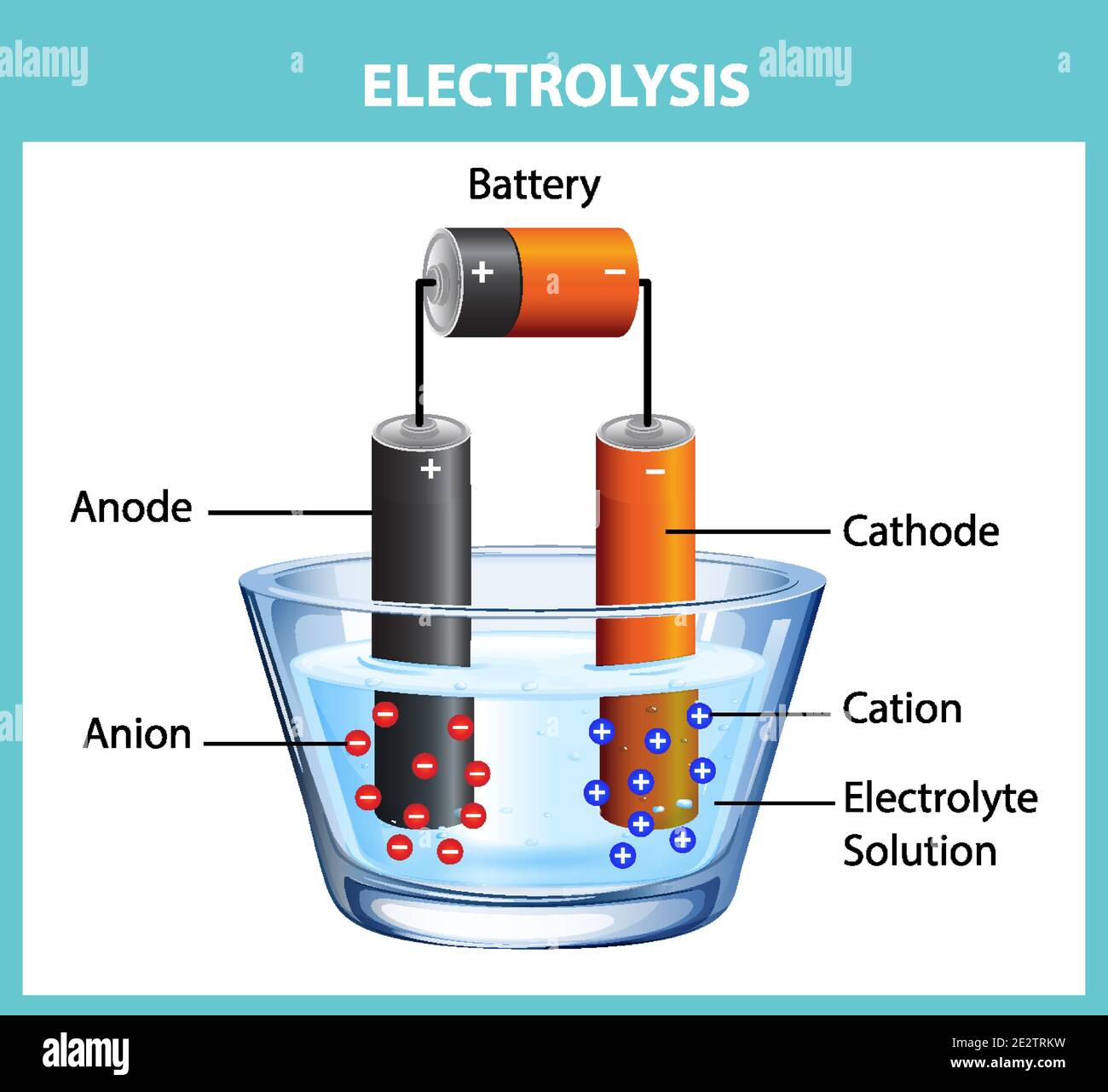 Electrolysis diagram experiment for education illustration Stock Vector ...