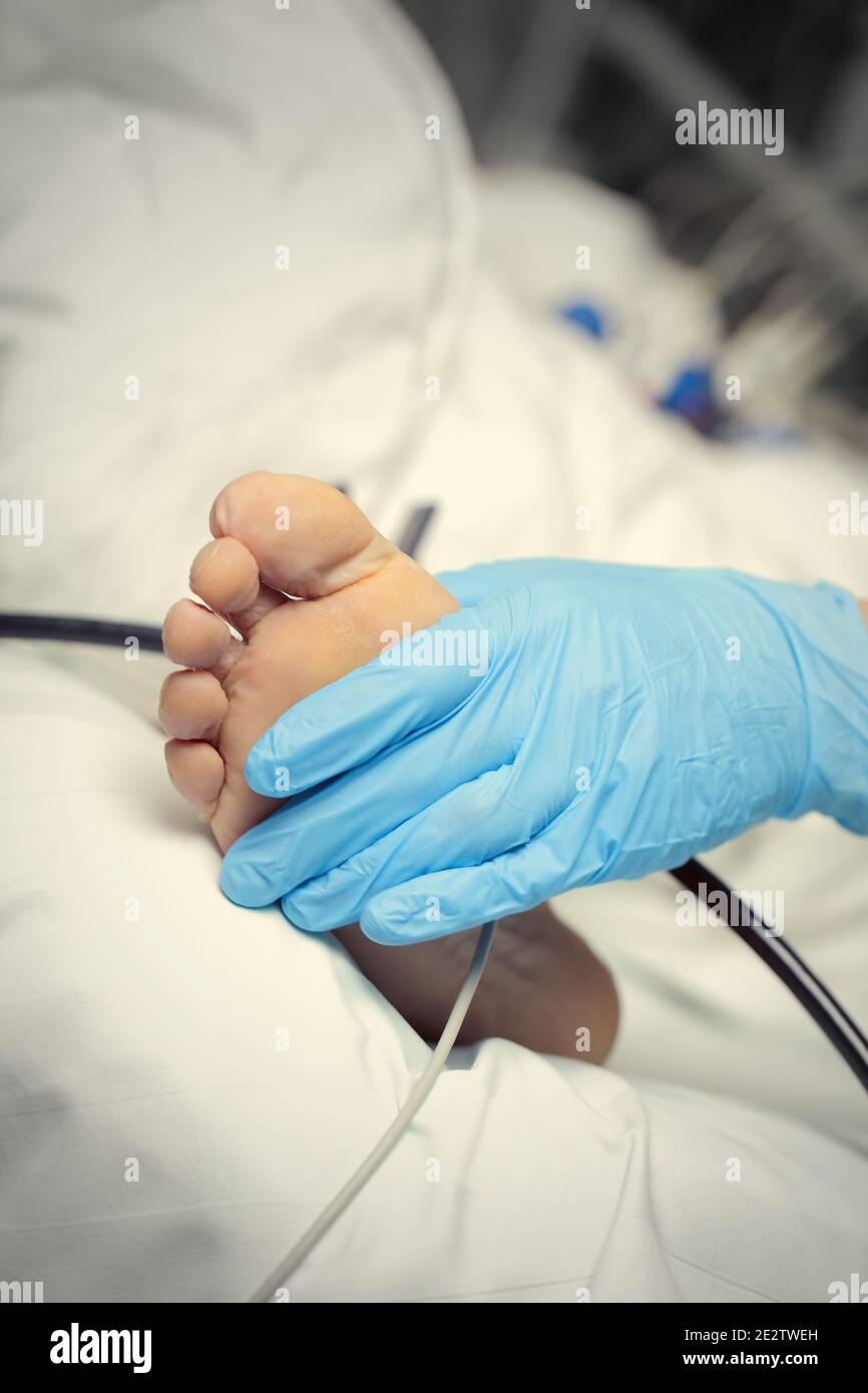 By Examining Their Feet High Resolution Stock Photography and Images