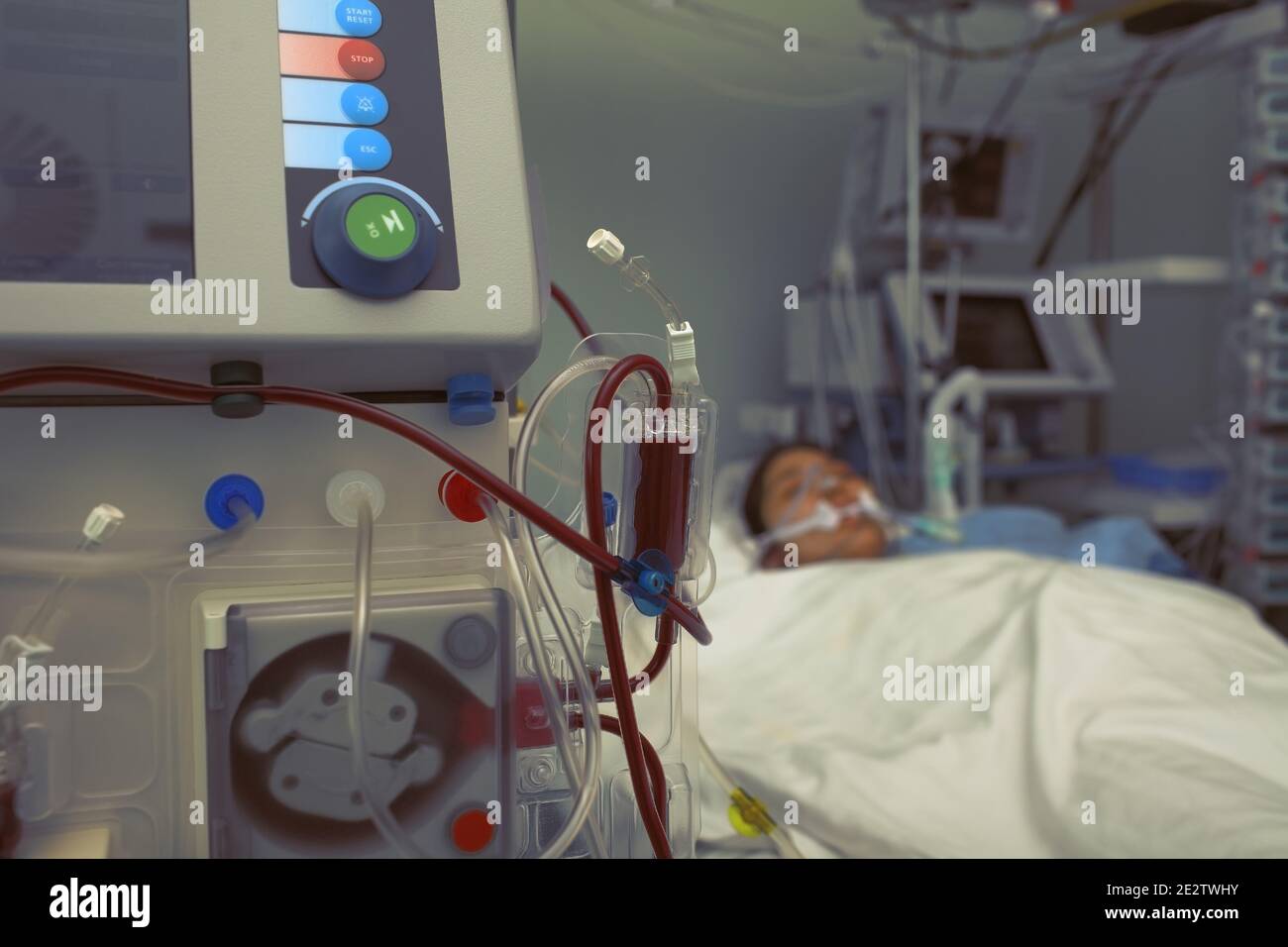 Blood filtration of patient in bed Stock Photo Alamy