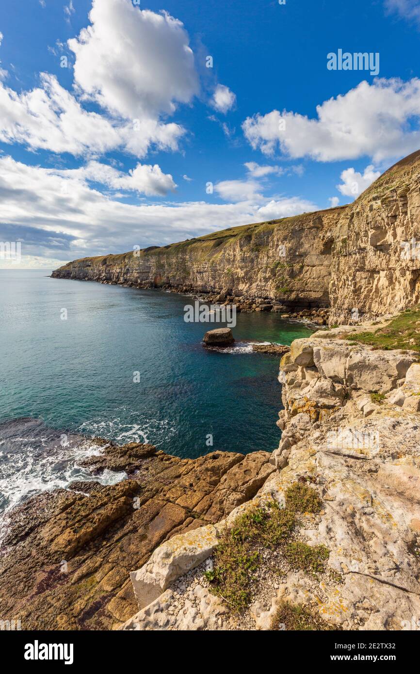 The Portland Stone cliffs at Seacombe Quarry on the Jurassic Coast, Isle of Purbeck, Dorset, England Stock Photo