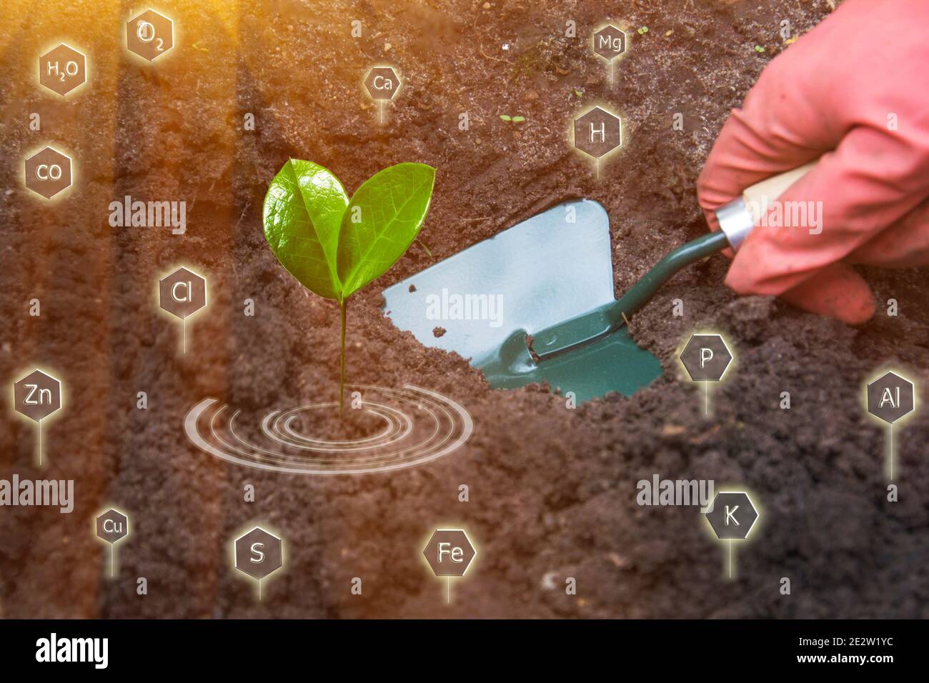 Gardener grows plant seedling. Green Shovel in hand. Nutrients for cultivated plants in soil. Concept of agricultural industry, growing organic food, Stock Photo