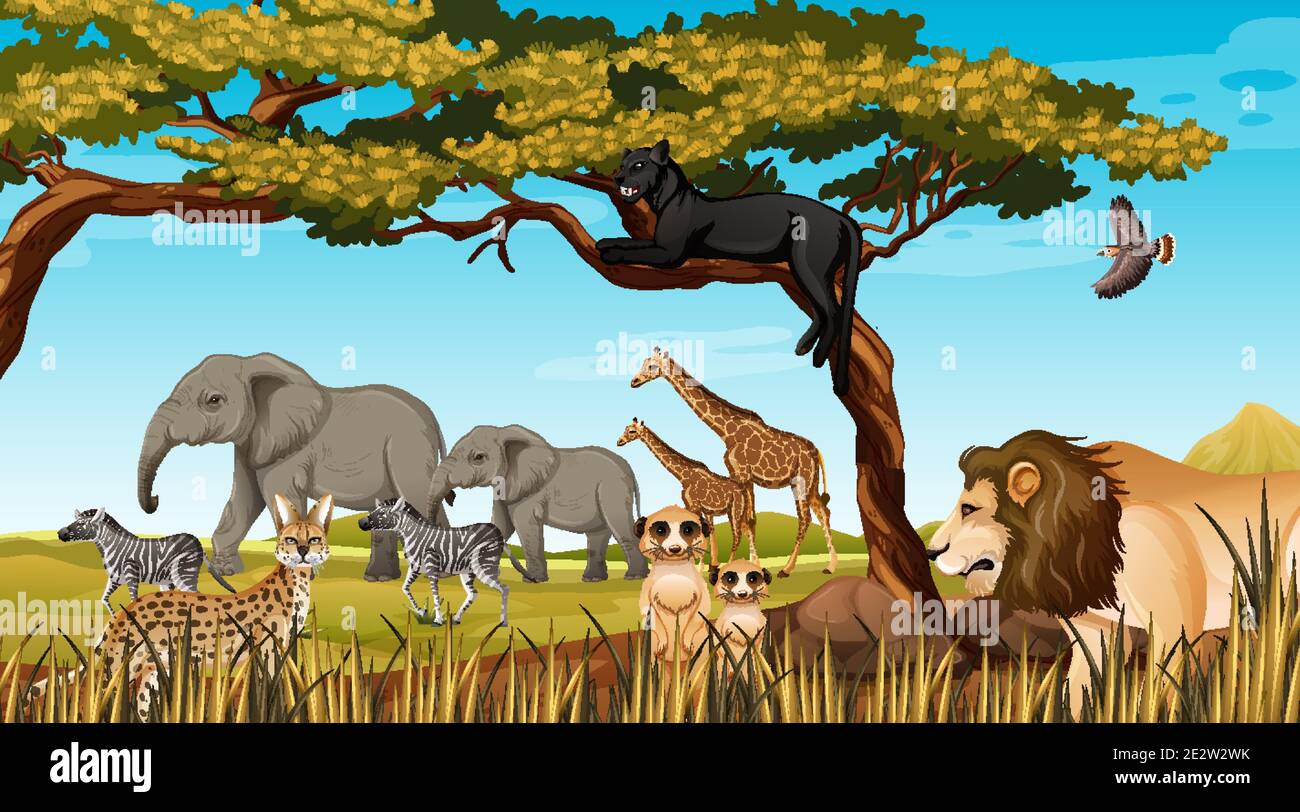 Group of Wild African Animal in the forest scene illustration Stock Vector Image & Art - Alamy Group of Wild African Animal in the forest scene illustration Stock Vector Image & Art - Alamy