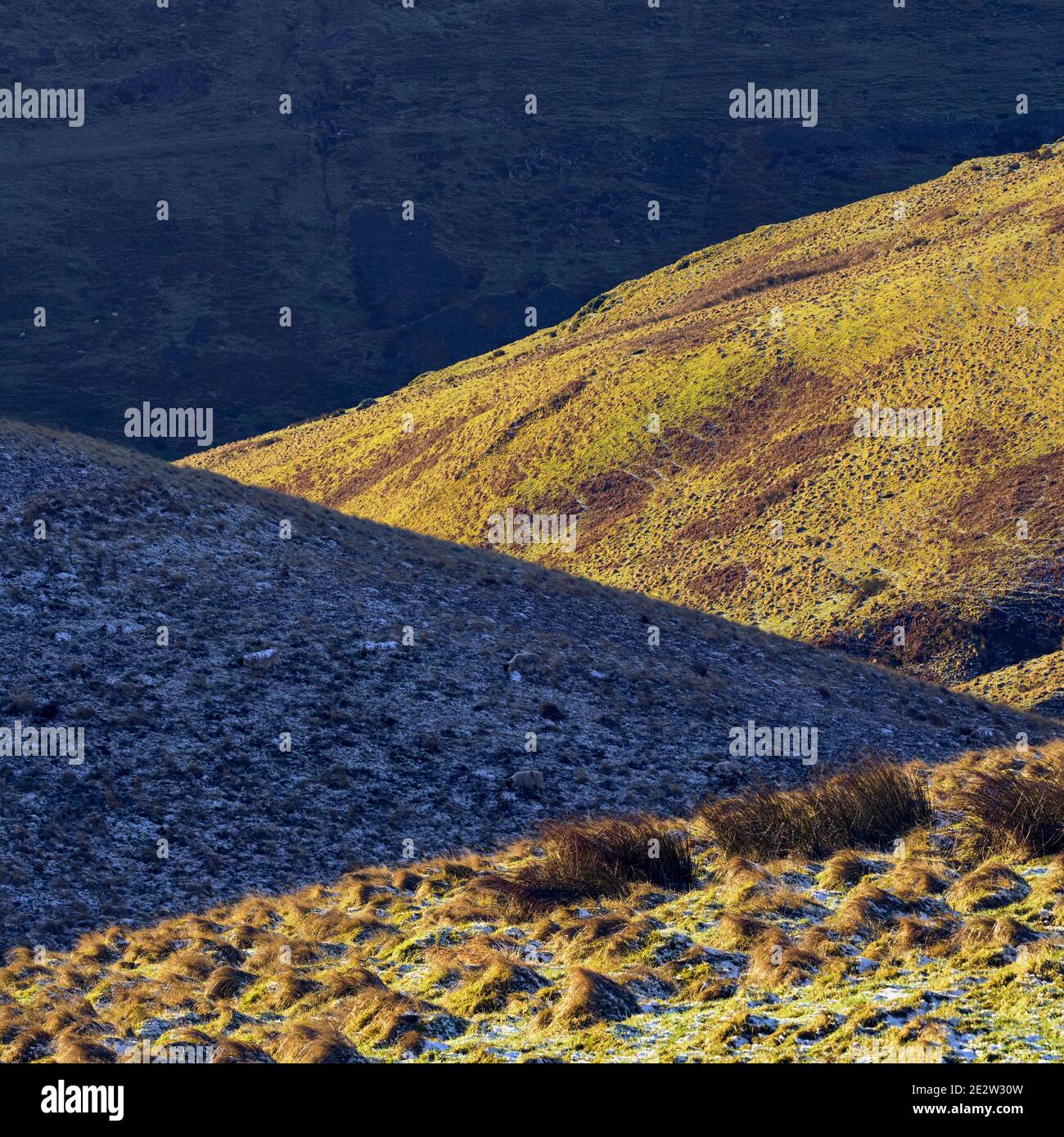 Folds of hills looking towards Alva Glen in the Ochils, Clackmannanshire, Scotland Stock Photo