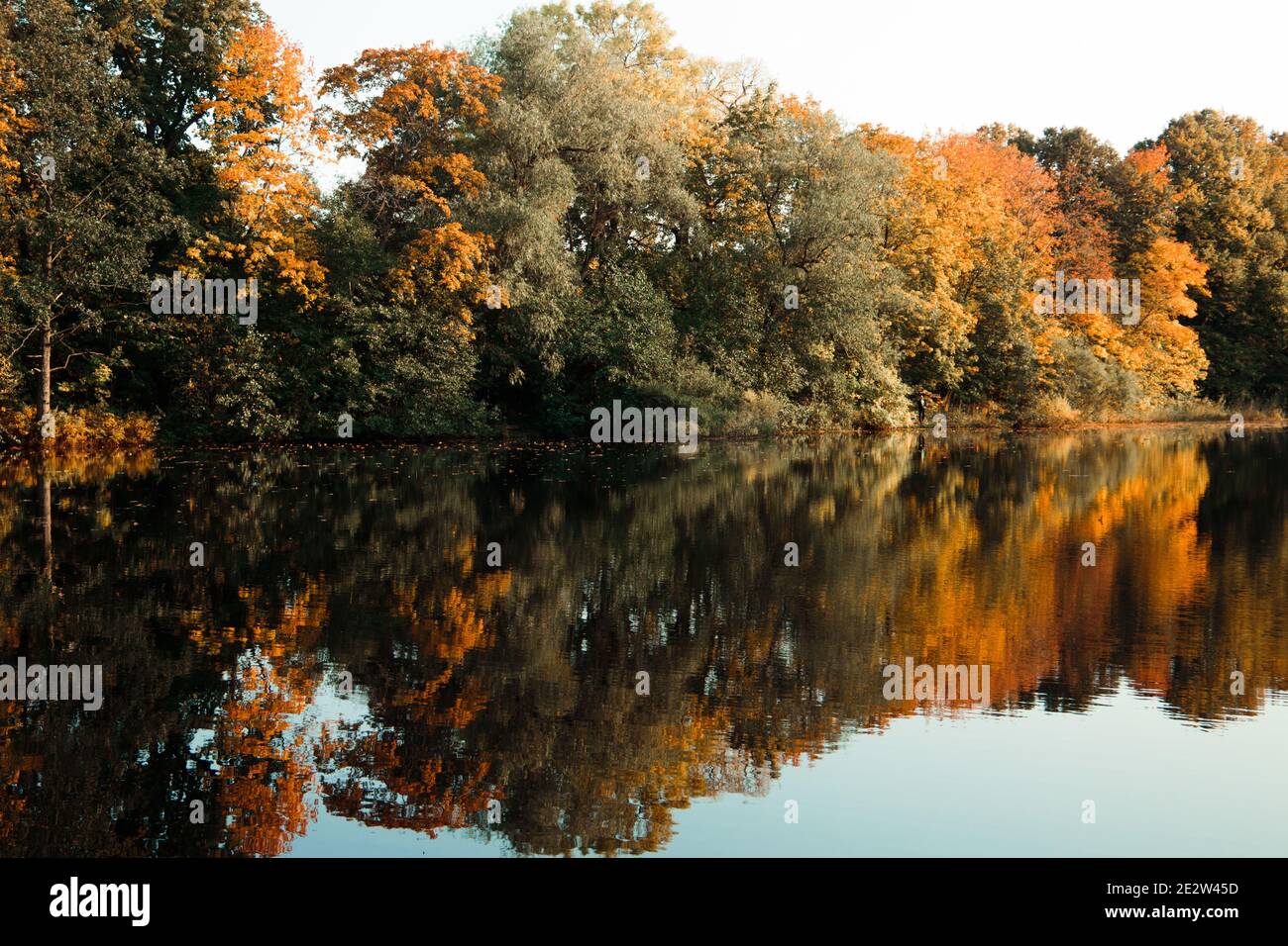 Scenery of a lake reflecting colorful trees in an autumn forest Stock ...