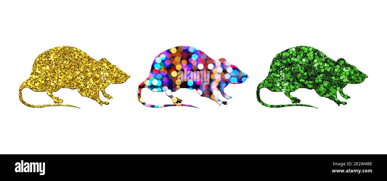 Three rats with different patterns isolated on a white background Stock ...