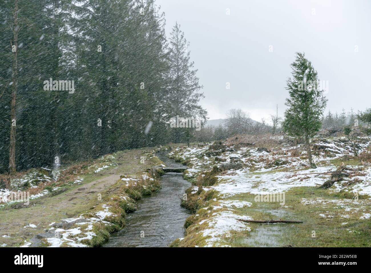 Devonport Leat, Dartmoor during a snow shower Stock Photo