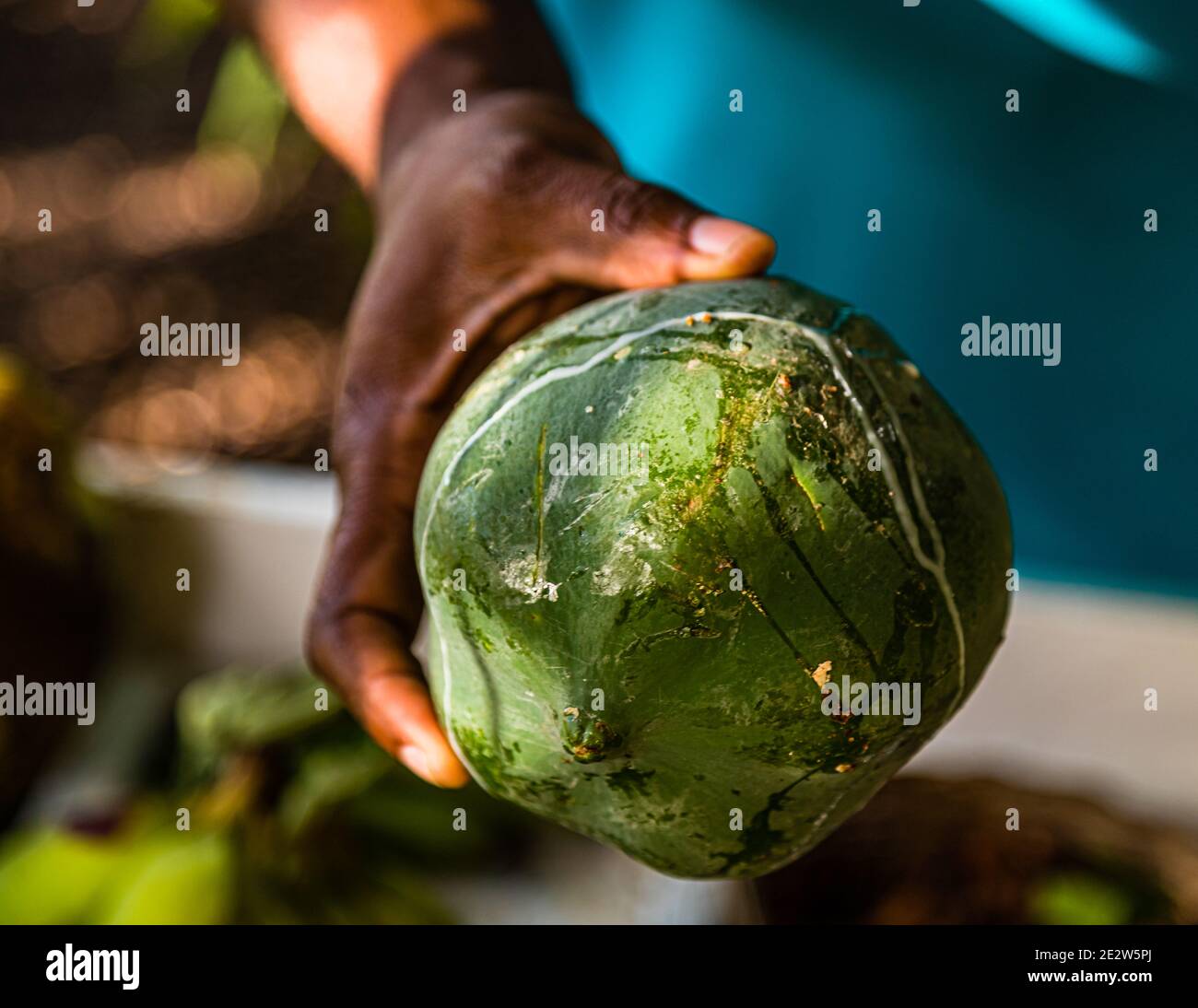 Grenada Vegetable Stock Photo