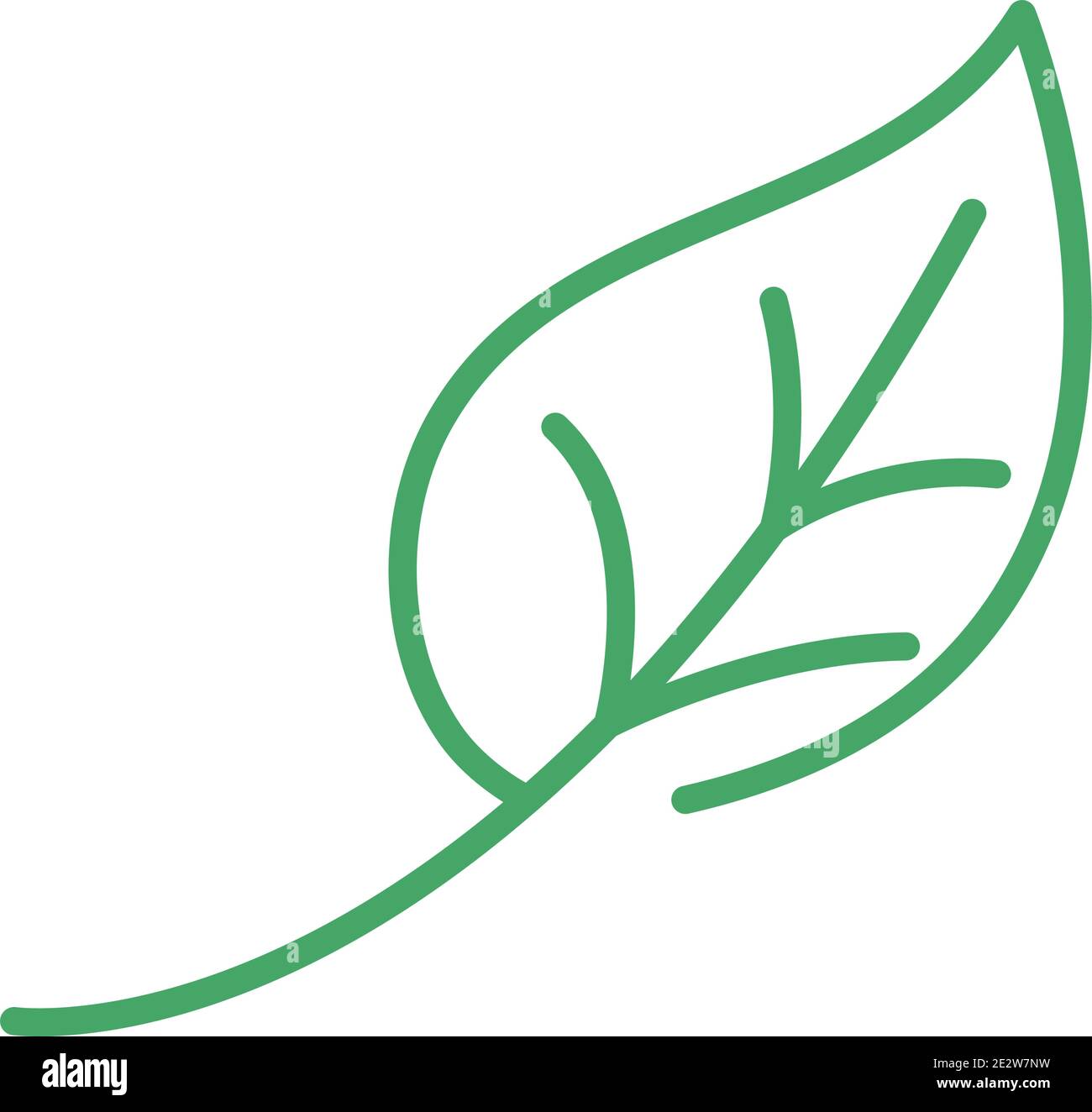 organic natural, leaf foliage green line style vector illustration ...