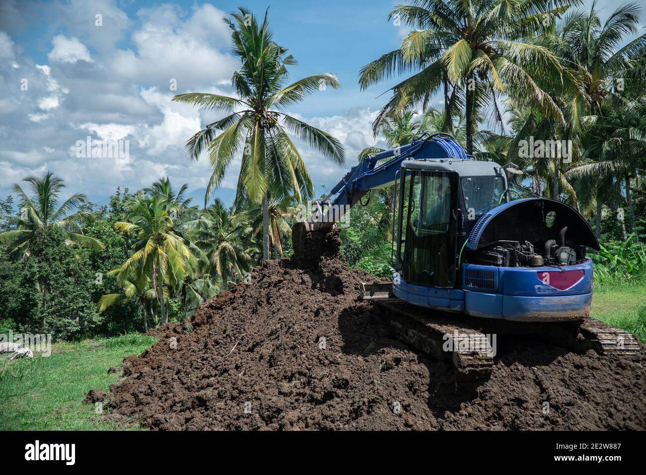 industrial bulldozer excavate ground and soil in tropical rain forest Stock Photo