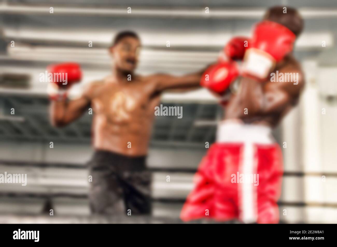 Photo of two boxers in Boxing Match Stock Photo