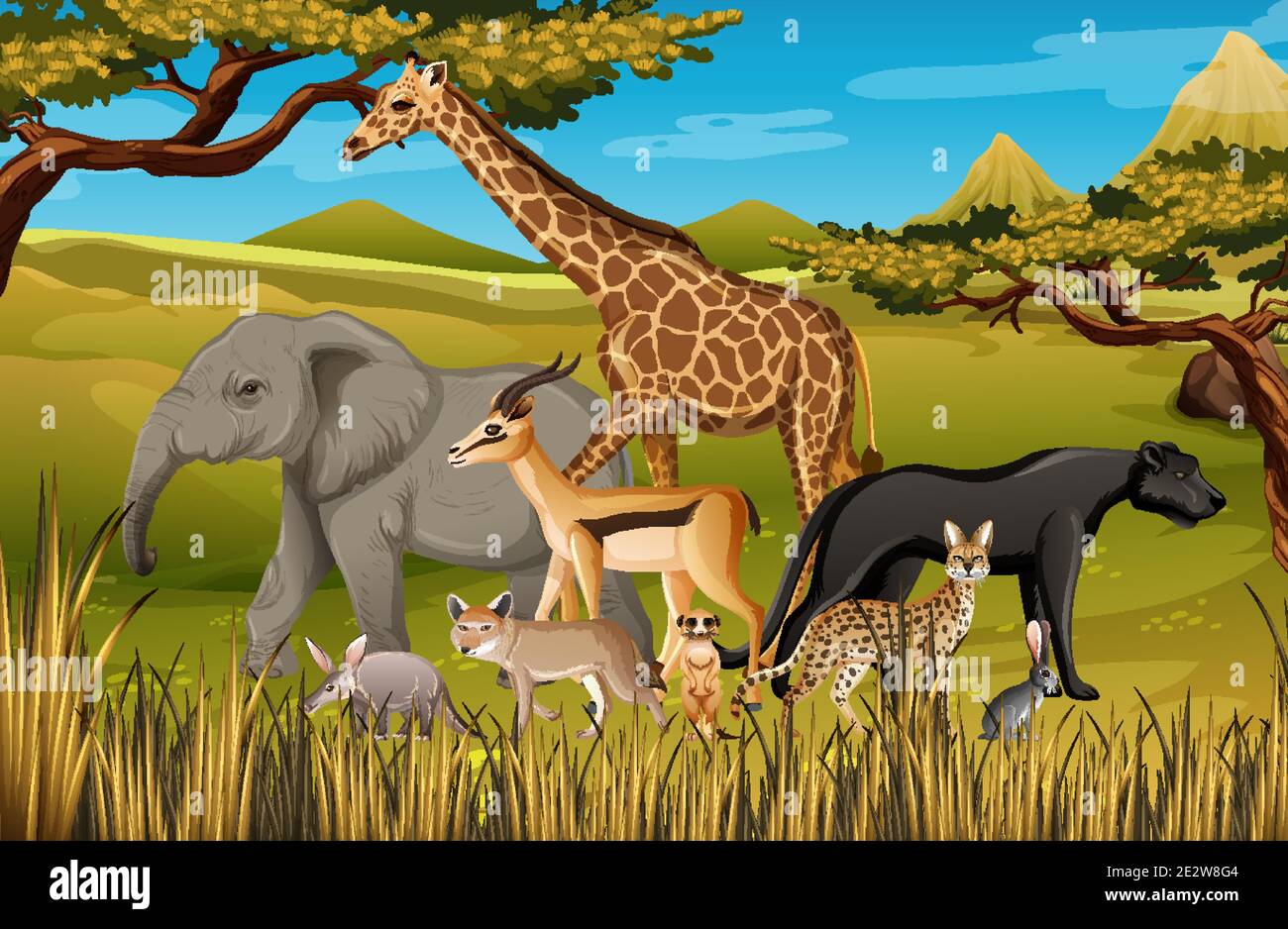 Group of Wild African Animal in the forest scene illustration Stock Vector  Image & Art - Alamy