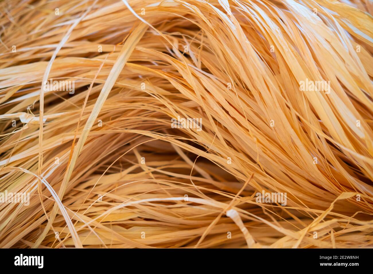 Natural palm raffia, close-up view. Zero waste package filler, natural handcraft materials Stock Photo