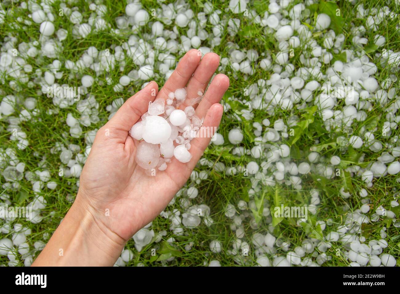 A person holding a handful of hail in their hands photo – Hail Image on  Unsplash
