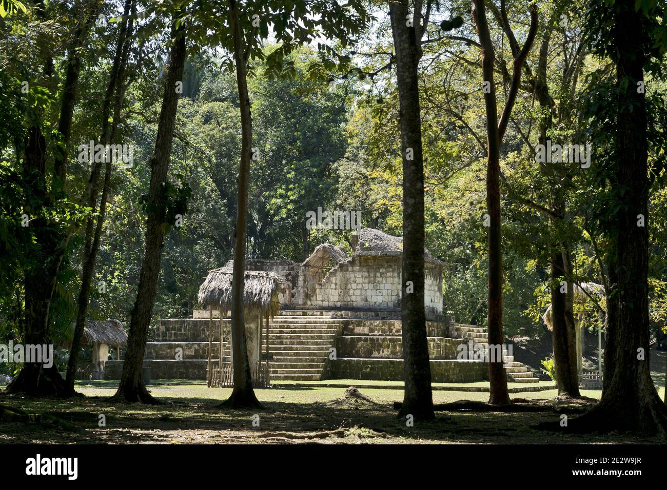 Seibal Ciebal, Guatemala, Central America: ancient mayan temple Stock Photo ...
