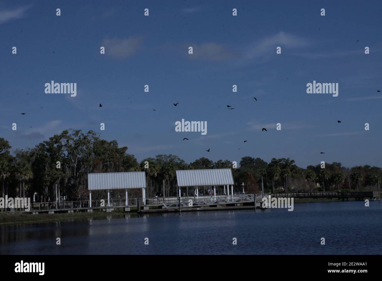 These photographs were taken at Kissimmee Lakefront park in Kissimmee, Florida.This park is at Lake Tohopekaliga and owned by the City of Kissimme, Fl Stock Photo