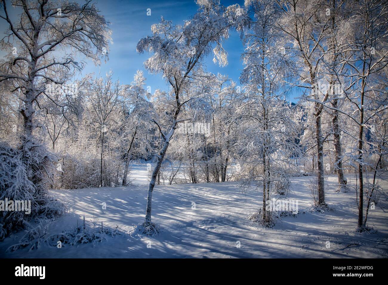 DE - BAVARIA: Sunny winter scene near Bad Tölz in the Isar Valley Stock Photo