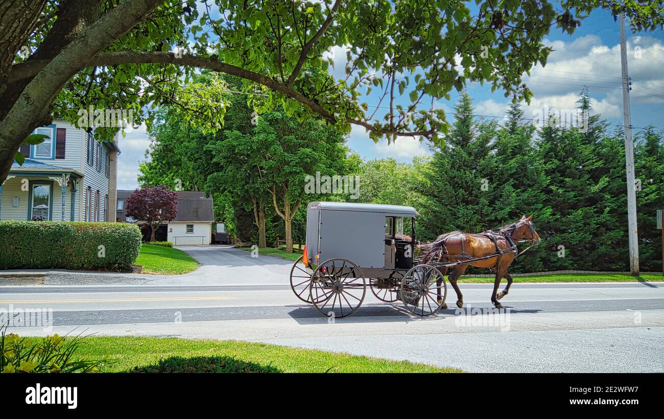 An Amish Horse and Buggy Traveling along a Countryside Road on a