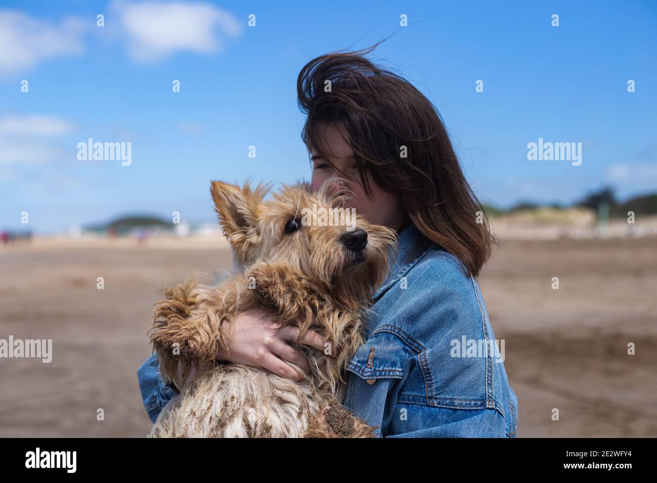 Dog cuddle arms hires stock photography and images Alamy