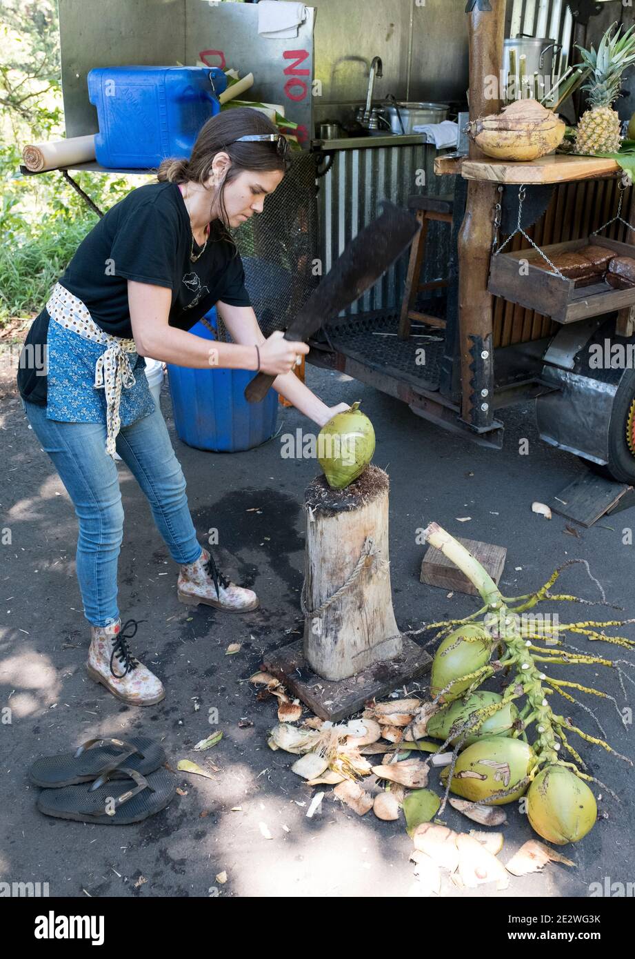 A woman prepares coconut drinks for passing tourists on the road to