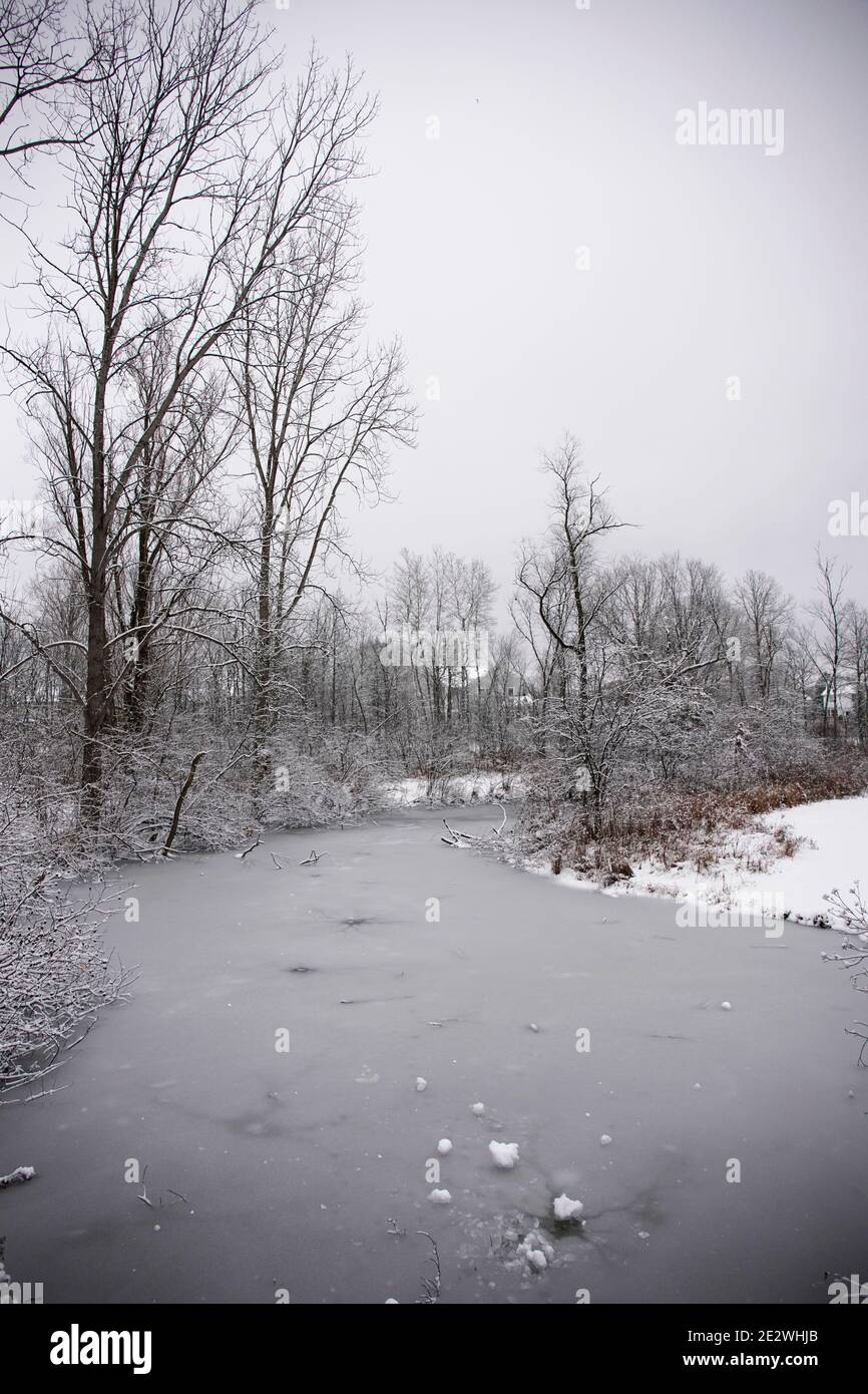 The winter landscape of Ada Park in Grand Rapids, Michigan Stock Photo