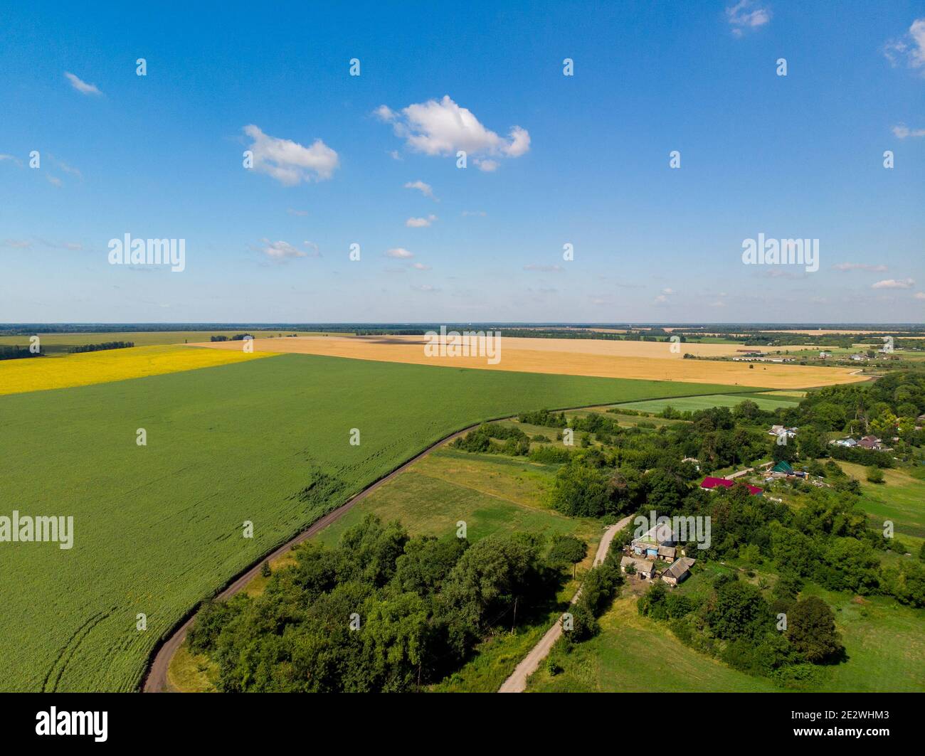 Beautiful rural summer flat landscape in the Russia Stock Photo - Alamy
