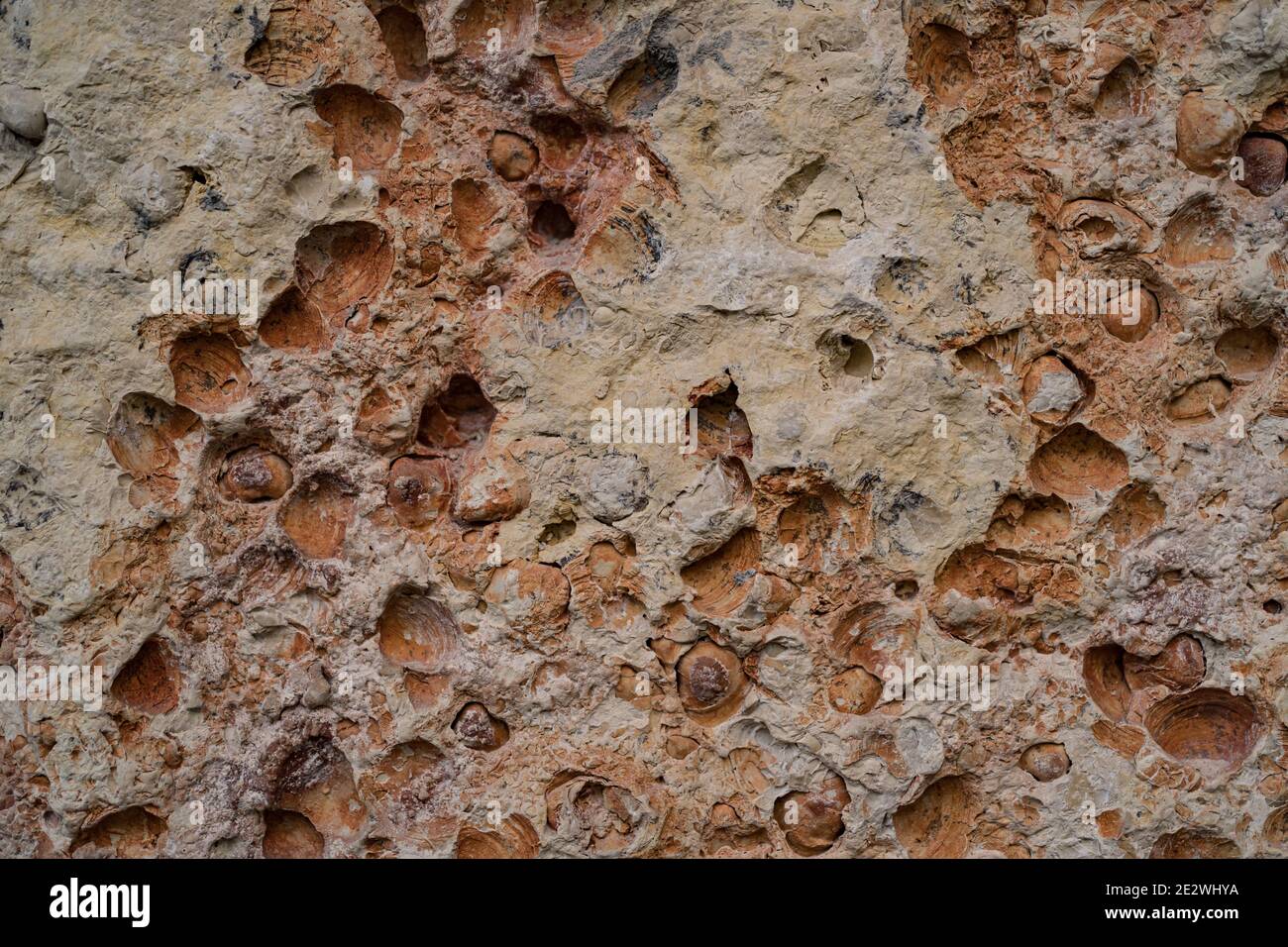 Sea stone. Mineral stone and erosion texture. Round shape damage. Wallpaper and background. Stock Photo