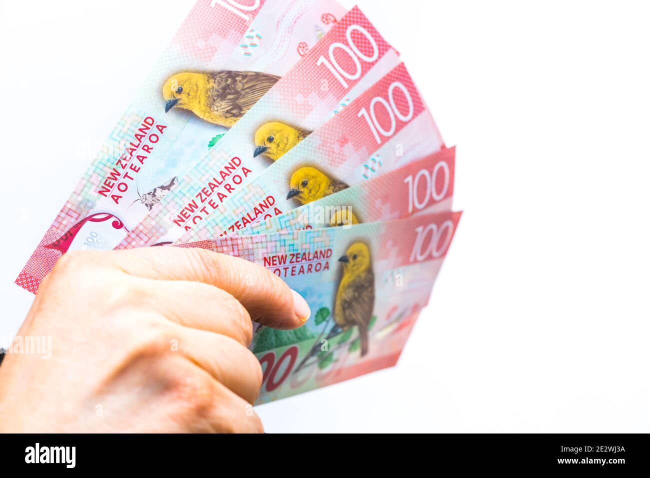 New Zealand Dollars Spread Out In A Man s Hand Stock Photo Alamy new-zealand-dollars-spread-out-in-a-man-s-hand-stock-photo-alamy