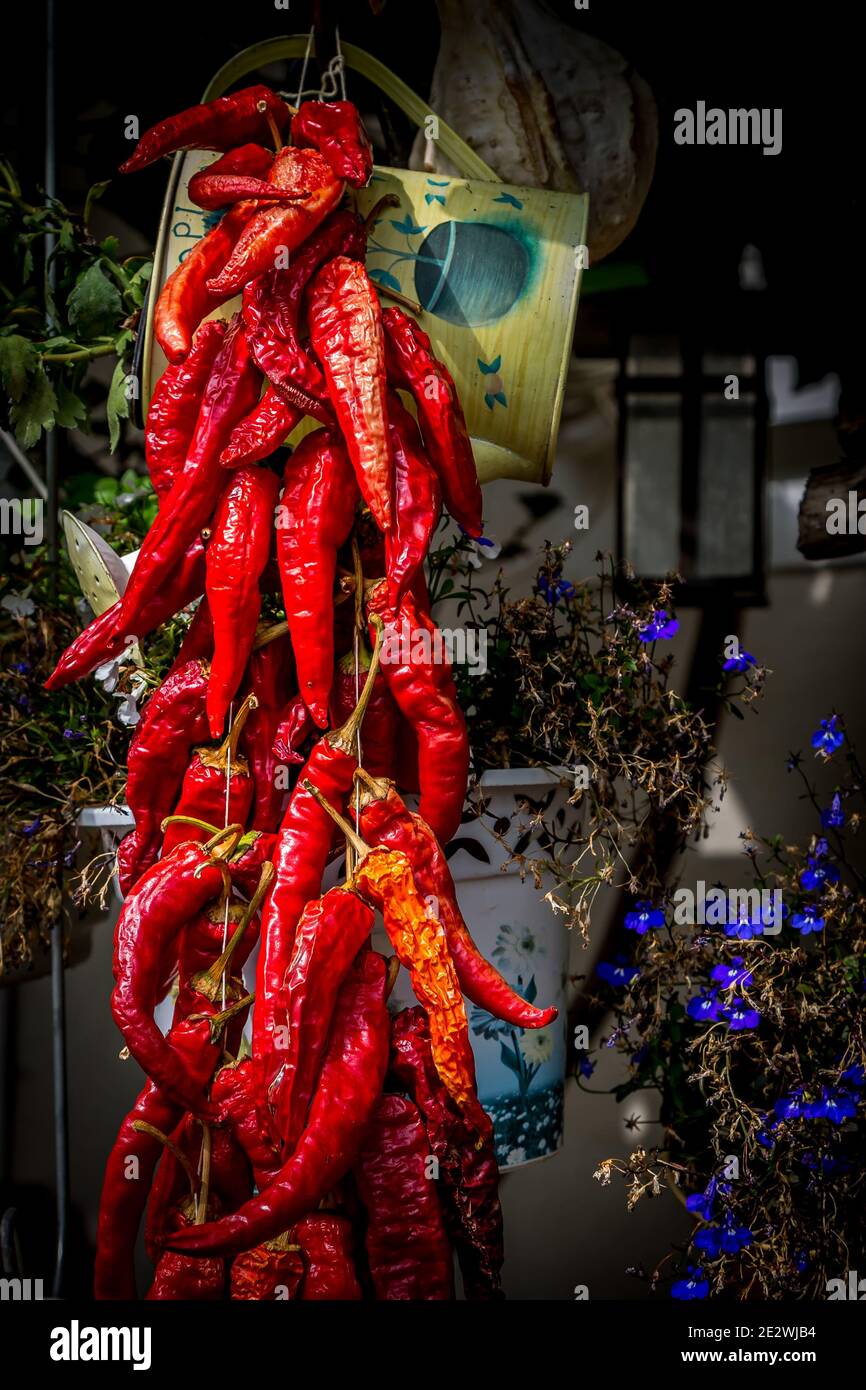 Hanging Strand of Red Chili Peppers and rustic wall decor Stock Photo -  Alamy