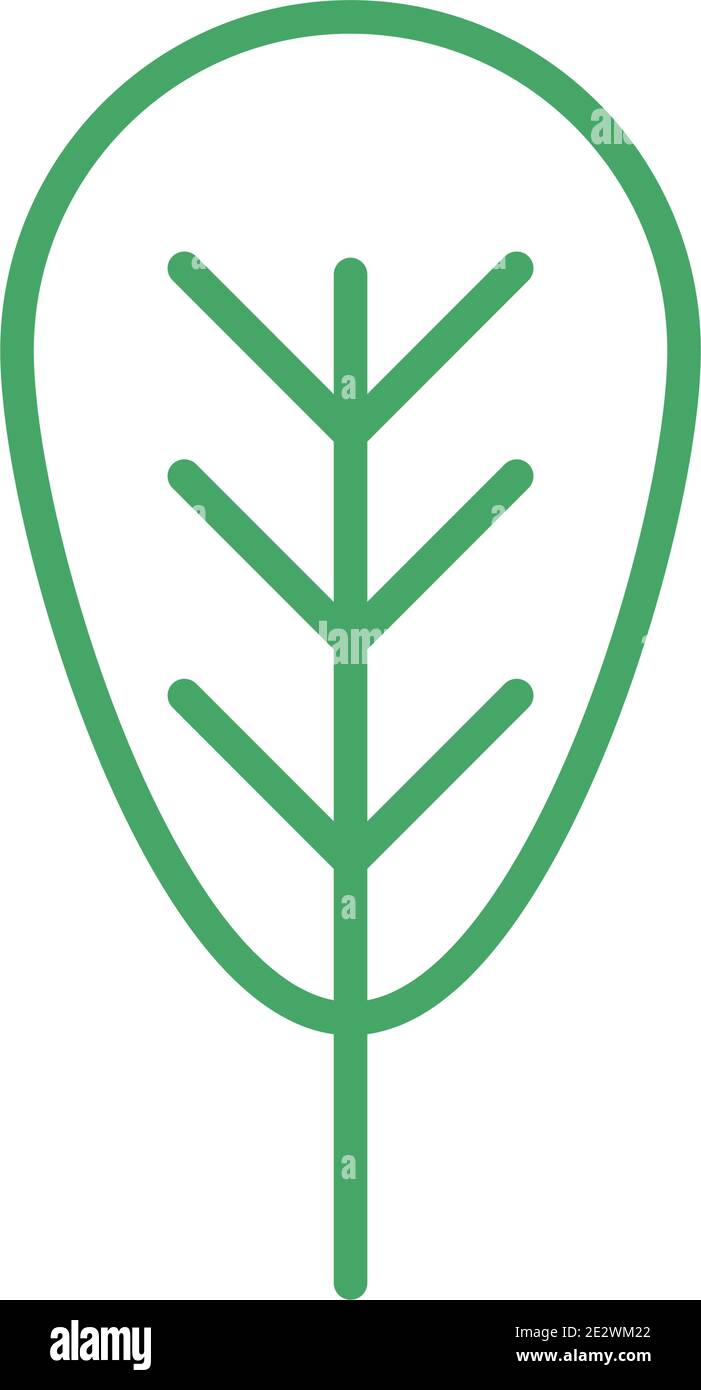organic natural, leaf nature bio and ecology green line style vector ...
