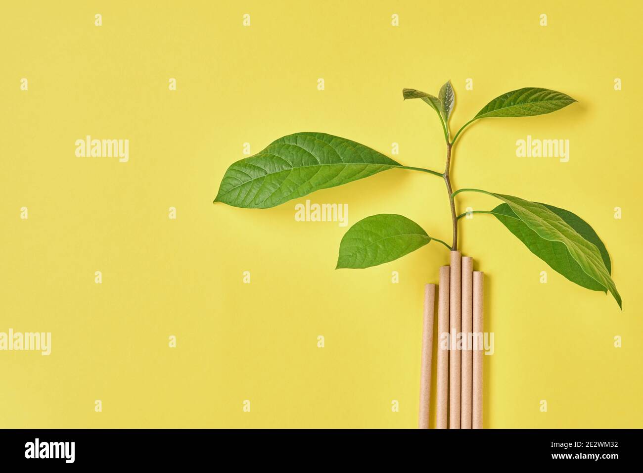 Drinking tubes made of paper and cornstarch, biodegradable material and