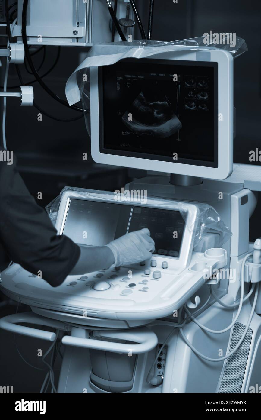 Doctor works with ultrasonic equipment in hospital. Stock Photo