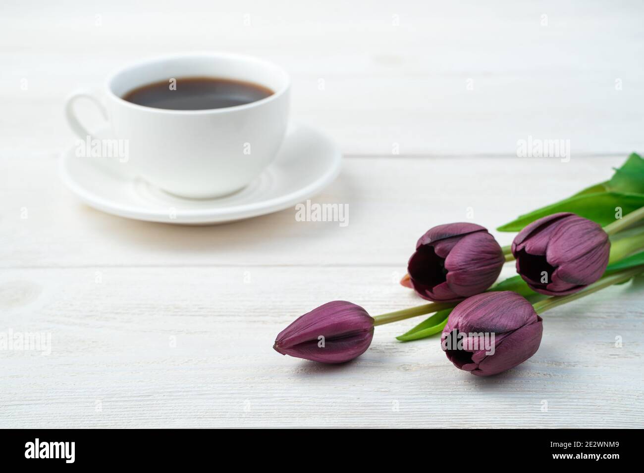 purple cup on a white background Stock Photo