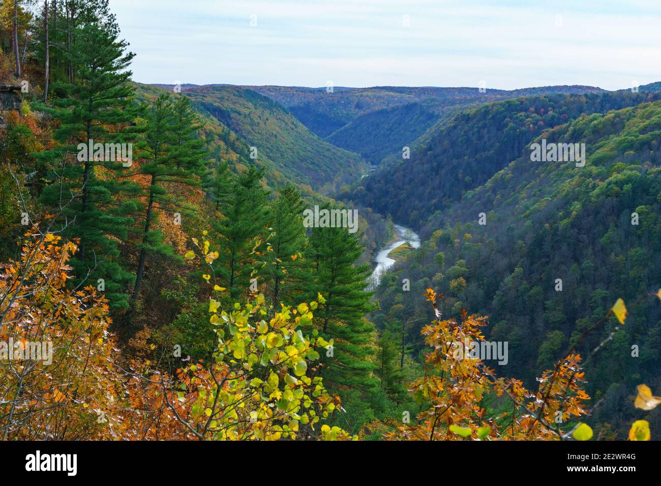 Fall colors, Pine Creek Gorge, Leonard Harrison State Park, Tioga County Pennsylvania Stock Photo