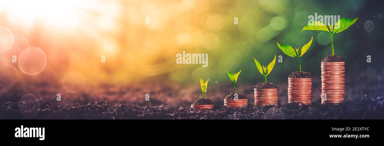 Plants Growing Out Of Coin Stacks In Garden - Investing Concept Stock Photo