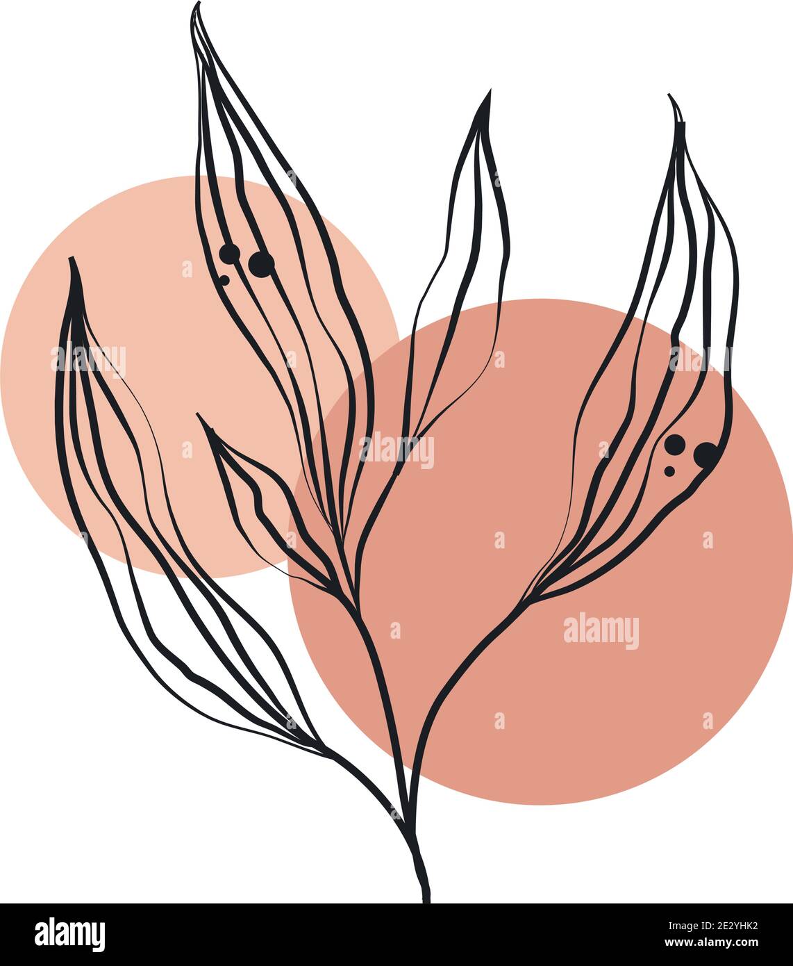 plant leaves foliage nature line art with colored spot vector illustration Stock Vector