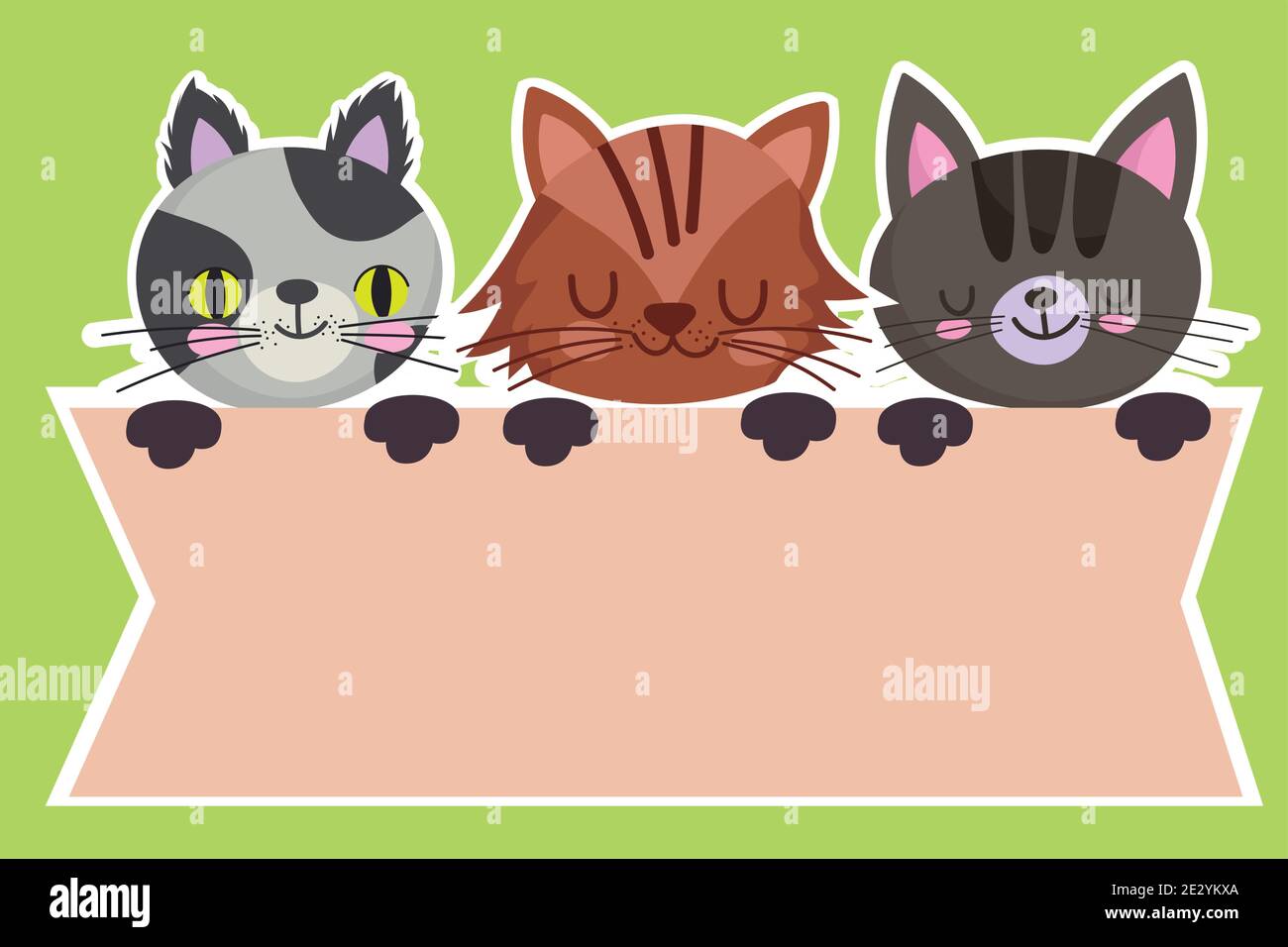 pets cartoon cats feline animals domestic banner layout vector ...