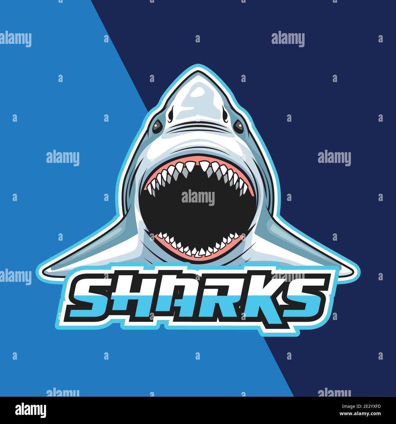shark animal wild head character in blue background vector illustration design Stock Vector Image & Art - Alamy shark animal wild head character in blue background vector illustration design Stock Vector Image & Art - Alamy